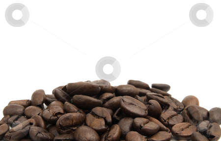 To use this stock image in your creative project, please select the size you need over to the right and click the "Add to Cart" button.
Your downloaded image will come with the Cutcaster watermark removed so don’t worry about the watermark you see on this page. Coffee Beans stock photo, Large Group of coffee beans on a white background by John Teeter