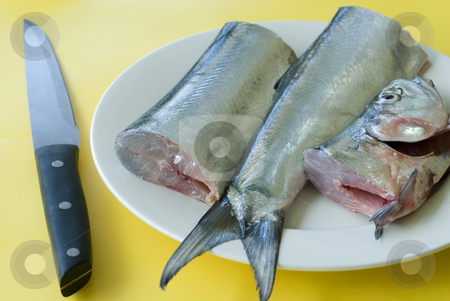 To use this stock image in your creative project, please select the size you need over to the right and click the "Add to Cart" button.
Your downloaded image will come with the Cutcaster watermark removed so don’t worry about the watermark you see on this page. Fish filleting stock photo, A plate of fresh ribbon fish waiting to be fillleted by Stephen Gibson