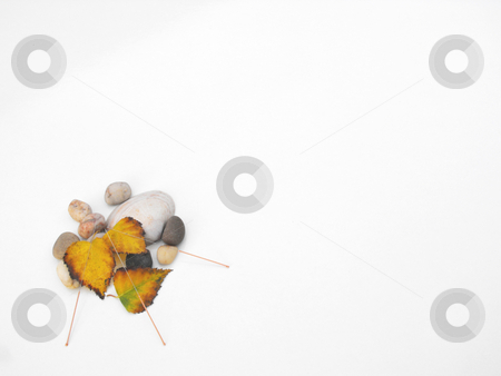 To use this stock image in your creative project, please select the size you need over to the right and click the "Add to Cart" button.
Your downloaded image will come with the Cutcaster watermark removed so don’t worry about the watermark you see on this page. Acupuncture needles concept of autumn, water and earth stock photo, Acupuncture needles displayed with stones, shell and utumn leaves by Chris Clews