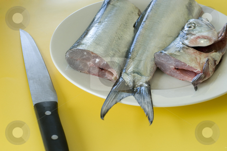 To use this stock image in your creative project, please select the size you need over to the right and click the "Add to Cart" button.
Your downloaded image will come with the Cutcaster watermark removed so don’t worry about the watermark you see on this page. Fish filleting stock photo, A plate of fresh ribbon fish sliced in three waiting to be filleted by Stephen Gibson