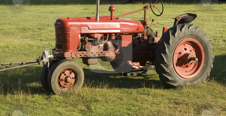 To use this stock image in your creative project, please select the size you need over to the right and click the "Add to Cart" button.
Your downloaded image will come with the Cutcaster watermark removed so don’t worry about the watermark you see on this page. Old red tractor stock photo, An old red tractor pictured in a field by Stephen Gibson