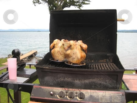 To use this stock image in your creative project, please select the size you need over to the right and click the "Add to Cart" button.
Your downloaded image will come with the Cutcaster watermark removed so don’t worry about the watermark you see on this page. Beer can bbqed Chicken stock photo, A bbq technique used to cook chickens is to place them cans of beer then grill by CHERYL LAFOND