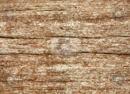To use this stock image in your creative project, please select the size you need over to the right and click the "Add to Cart" button.
Your downloaded image will come with the Cutcaster watermark removed so don’t worry about the watermark you see on this page. Weathered wood grain texture close up background. stock photo, Weathered wood grain texture close up background. by Stephen Rees