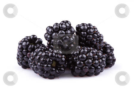 To use this stock image in your creative project, please select the size you need over to the right and click the "Add to Cart" button.
Your downloaded image will come with the Cutcaster watermark removed so don’t worry about the watermark you see on this page. The blackberry stock photo, by Alexandr Vlassyuk