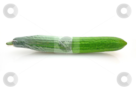 To use this stock image in your creative project, please select the size you need over to the right and click the "Add to Cart" button.
Your downloaded image will come with the Cutcaster watermark removed so don’t worry about the watermark you see on this page. Cucumber stock photo, Cucumber by Julian Weber
