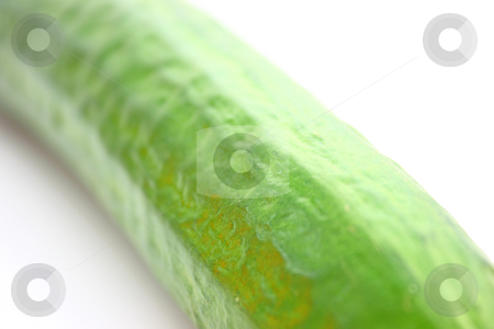To use this stock image in your creative project, please select the size you need over to the right and click the "Add to Cart" button.
Your downloaded image will come with the Cutcaster watermark removed so don’t worry about the watermark you see on this page. Cucumber stock photo, Cucumber by Julian Weber