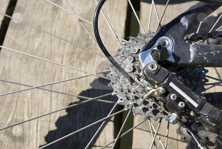 To use this stock image in your creative project, please select the size you need over to the right and click the "Add to Cart" button.
Your downloaded image will come with the Cutcaster watermark removed so don’t worry about the watermark you see on this page. Bike Cog stock photo, Royalty Free Stock Image of The Cogs of a Mountain Bikes Rear Wheel against wood background, providing copyspace to the left by Paul Inkles