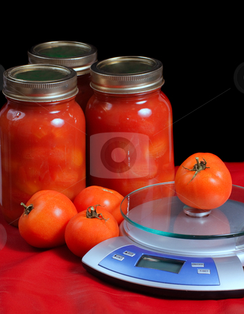 To use this stock image in your creative project, please select the size you need over to the right and click the "Add to Cart" button.
Your downloaded image will come with the Cutcaster watermark removed so don’t worry about the watermark you see on this page. Jars of Tomatoes stock photo, Jars of canned tomatoes situated beside some fresh tomatoes and a kitchen scale by Richard Nelson