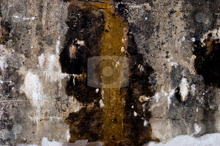 To use this stock image in your creative project, please select the size you need over to the right and click the "Add to Cart" button.
Your downloaded image will come with the Cutcaster watermark removed so don’t worry about the watermark you see on this page. Cementwall stock photo, Cement wall moss grown and peeling paint by Ian Genis