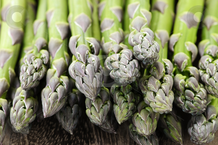 To use this stock image in your creative project, please select the size you need over to the right and click the "Add to Cart" button.
Your downloaded image will come with the Cutcaster watermark removed so don’t worry about the watermark you see on this page. Asparagus stock photo, Close up of fresh green organic asparagus by Elena Elisseeva