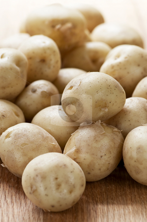 To use this stock image in your creative project, please select the size you need over to the right and click the "Add to Cart" button.
Your downloaded image will come with the Cutcaster watermark removed so don’t worry about the watermark you see on this page. Potatoes stock photo, Assorted whole fresh organic mini potatoes vegetables by Elena Elisseeva