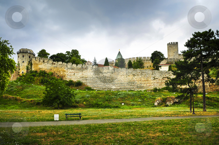 To use this stock image in your creative project, please select the size you need over to the right and click the "Add to Cart" button.
Your downloaded image will come with the Cutcaster watermark removed so don’t worry about the watermark you see on this page. Kalemegdan fortress in Belgrade stock photo, Kalemegdan fortress in Belgrade with walking path by Elena Elisseeva