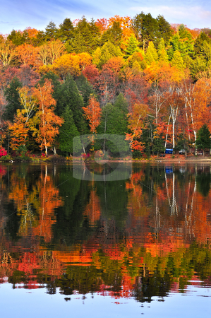 To use this stock image in your creative project, please select the size you need over to the right and click the "Add to Cart" button.
Your downloaded image will come with the Cutcaster watermark removed so don’t worry about the watermark you see on this page. Fall forest reflections stock photo, Forest of colorful autumn trees reflecting in calm lake by Elena Elisseeva