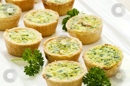 To use this stock image in your creative project, please select the size you need over to the right and click the "Add to Cart" button.
Your downloaded image will come with the Cutcaster watermark removed so don’t worry about the watermark you see on this page. Mini quiches stock photo, Plate of many mini bite size quiche appetizers by Elena Elisseeva