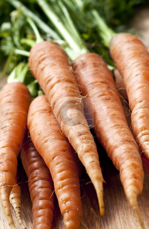 To use this stock image in your creative project, please select the size you need over to the right and click the "Add to Cart" button.
Your downloaded image will come with the Cutcaster watermark removed so don’t worry about the watermark you see on this page. Carrots stock photo, Bunch of whole fresh organic orange carrots by Elena Elisseeva