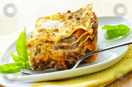 To use this stock image in your creative project, please select the size you need over to the right and click the "Add to Cart" button.
Your downloaded image will come with the Cutcaster watermark removed so don’t worry about the watermark you see on this page. Plate of lasagna stock photo, Serving of fresh baked lasagna on a plate by Elena Elisseeva