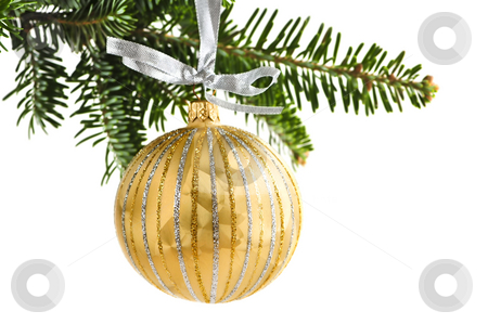 To use this stock image in your creative project, please select the size you need over to the right and click the "Add to Cart" button.
Your downloaded image will come with the Cutcaster watermark removed so don’t worry about the watermark you see on this page. Christmas ornament stock photo, Golden Christmas decoration hanging on pine branch isolated on white by Elena Elisseeva