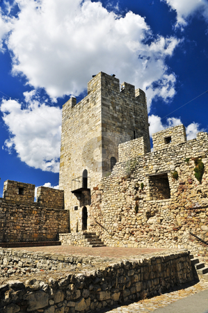 To use this stock image in your creative project, please select the size you need over to the right and click the "Add to Cart" button.
Your downloaded image will come with the Cutcaster watermark removed so don’t worry about the watermark you see on this page. Kalemegdan fortress in Belgrade stock photo, Walls and towers of Kalemegdan fortress in Belgrade Serbia by Elena Elisseeva
