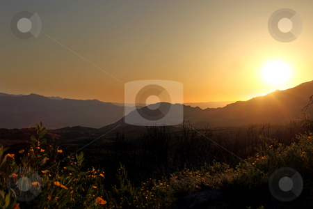 To use this stock image in your creative project, please select the size you need over to the right and click the "Add to Cart" button.
Your downloaded image will come with the Cutcaster watermark removed so don’t worry about the watermark you see on this page. Beautiful Sunrise In the Mountains stock photo, Beautiful Sunrise In the Mountains Among Poppies and Hazy Hills. Image has slight noise due to shooting conditions. by Katrina Brown