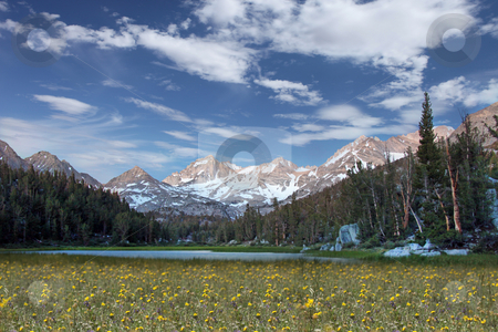 To use this stock image in your creative project, please select the size you need over to the right and click the "Add to Cart" button.
Your downloaded image will come with the Cutcaster watermark removed so don’t worry about the watermark you see on this page. Snow on the Eastern Sierra Mountains stock photo, Snow Caps on the Eastern Sierra Mountains by Katrina Brown