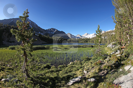 To use this stock image in your creative project, please select the size you need over to the right and click the "Add to Cart" button.
Your downloaded image will come with the Cutcaster watermark removed so don’t worry about the watermark you see on this page. Eastern Sierras at Heart Lake stock photo, Beautiful Eastern Sierras at Heart Lake by Katrina Brown