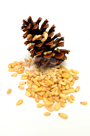 To use this stock image in your creative project, please select the size you need over to the right and click the "Add to Cart" button.
Your downloaded image will come with the Cutcaster watermark removed so don’t worry about the watermark you see on this page. Pine Nuts stock photo, Pine cone and nuts is isolated on a white background by Lynn Bendickson