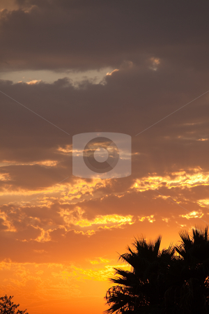 To use this stock image in your creative project, please select the size you need over to the right and click the "Add to Cart" button.
Your downloaded image will come with the Cutcaster watermark removed so don’t worry about the watermark you see on this page. Beautifully Dramatic Sunrise or Sunset stock photo, Beautifully Dramatic Sunrise or Sunset with Clouds. by Andy Dean