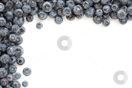 To use this stock image in your creative project, please select the size you need over to the right and click the "Add to Cart" button.
Your downloaded image will come with the Cutcaster watermark removed so don’t worry about the watermark you see on this page. Fresh Blueberries Border stock photo, Fresh Blueberries Border Isolated on a White Background. by Andy Dean