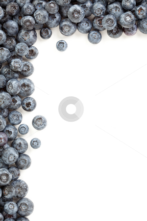 To use this stock image in your creative project, please select the size you need over to the right and click the "Add to Cart" button.
Your downloaded image will come with the Cutcaster watermark removed so don’t worry about the watermark you see on this page. Fresh Blueberries Border stock photo, Fresh Blueberries Border Isolated on a White Background. by Andy Dean