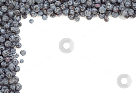 To use this stock image in your creative project, please select the size you need over to the right and click the "Add to Cart" button.
Your downloaded image will come with the Cutcaster watermark removed so don’t worry about the watermark you see on this page. Fresh Blueberries Border stock photo, Fresh Blueberries Border Isolated on a White Background. by Andy Dean