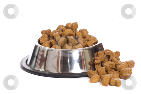 To use this stock image in your creative project, please select the size you need over to the right and click the "Add to Cart" button.
Your downloaded image will come with the Cutcaster watermark removed so don’t worry about the watermark you see on this page. Dog Food stock photo, Dog food over flowing from a metal dog bowl, isolated against a white background by Richard Nelson