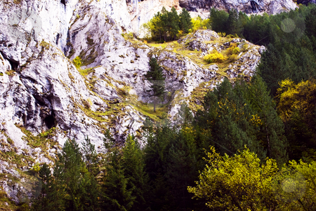 To use this stock image in your creative project, please select the size you need over to the right and click the "Add to Cart" button.
Your downloaded image will come with the Cutcaster watermark removed so don’t worry about the watermark you see on this page. Autumn stock photo, Autumn in Bulgarian mountains by Desislava Dimitrova