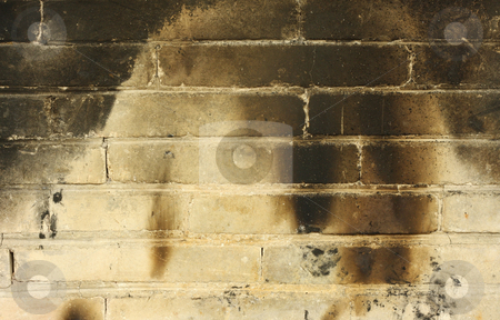 To use this stock image in your creative project, please select the size you need over to the right and click the "Add to Cart" button.
Your downloaded image will come with the Cutcaster watermark removed so don’t worry about the watermark you see on this page. Burnt Brickwall stock photo, Burnt brickwall background by Georgios Kollidas