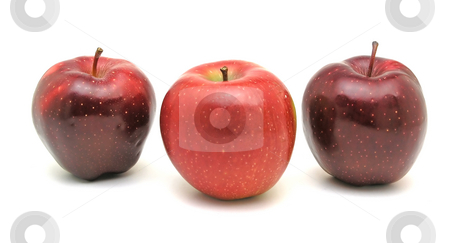 To use this stock image in your creative project, please select the size you need over to the right and click the "Add to Cart" button.
Your downloaded image will come with the Cutcaster watermark removed so don’t worry about the watermark you see on this page. ???? Apple stock photo, Tree red apple on white by Adam Radosavljevic