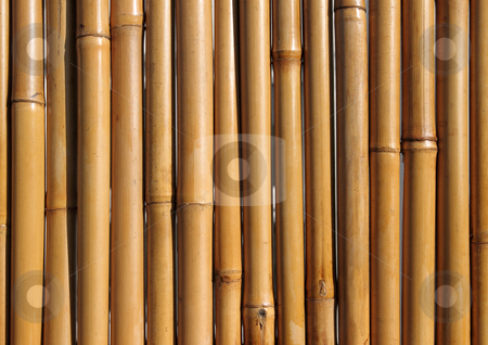 To use this stock image in your creative project, please select the size you need over to the right and click the "Add to Cart" button.
Your downloaded image will come with the Cutcaster watermark removed so don’t worry about the watermark you see on this page. Old bamboo wood fence close up. stock photo, Old bamboo wood fence close up. by Stephen Rees