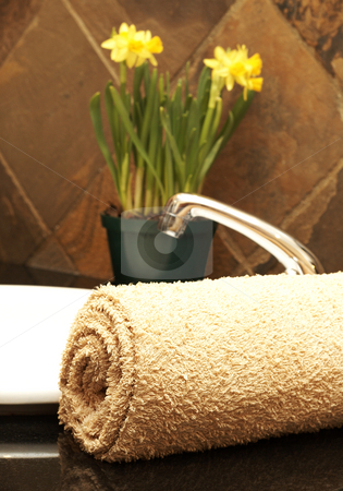 To use this stock image in your creative project, please select the size you need over to the right and click the "Add to Cart" button.
Your downloaded image will come with the Cutcaster watermark removed so don’t worry about the watermark you see on this page. Rolled up towel and flowers in the bathroom stock photo, Beige rolled up towel next to a white ceramic basin with daffodil flowers in the bathroom by Elena Weber (nee Talberg)