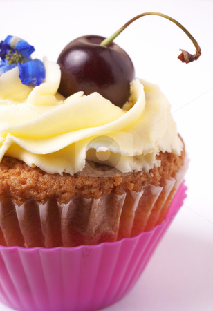 To use this stock image in your creative project, please select the size you need over to the right and click the "Add to Cart" button.
Your downloaded image will come with the Cutcaster watermark removed so don’t worry about the watermark you see on this page. Miniature vanilla cupcake with cherry stock photo, Miniature vanilla cupcake with icing, fresh cherry and blue flower on white background. Macro shot, shallow depth of field by Elena Weber (nee Talberg)