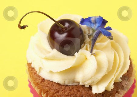 To use this stock image in your creative project, please select the size you need over to the right and click the "Add to Cart" button.
Your downloaded image will come with the Cutcaster watermark removed so don’t worry about the watermark you see on this page. Miniature vanilla cupcake with cherry stock photo, Miniature vanilla cupcake with icing, fresh cherry and blue flower on yellow background by Elena Weber (nee Talberg)