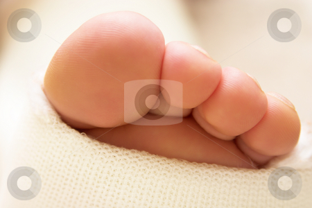 To use this stock image in your creative project, please select the size you need over to the right and click the "Add to Cart" button.
Your downloaded image will come with the Cutcaster watermark removed so don’t worry about the watermark you see on this page. Toes stock photo, Four toes sticking out of white cast. Shallow D.O.F. by Elena Weber (nee Talberg)
