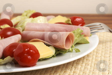 To use this stock image in your creative project, please select the size you need over to the right and click the "Add to Cart" button.
Your downloaded image will come with the Cutcaster watermark removed so don’t worry about the watermark you see on this page. Fresh salad with cold meat, greens and peppers stock photo, Fresh salad with cold meat, green lettuce leaves, white cheese, tomatoes and peppadew peppers on white plate by Elena Weber (nee Talberg)