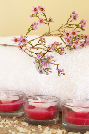 To use this stock image in your creative project, please select the size you need over to the right and click the "Add to Cart" button.
Your downloaded image will come with the Cutcaster watermark removed so don’t worry about the watermark you see on this page. Relaxing spa scene stock photo, Relaxing spa scene with a white rolled up towel, pink flowers, beautiful handmade candles and bath salts by Elena Weber (nee Talberg)