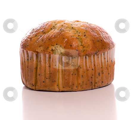 To use this stock image in your creative project, please select the size you need over to the right and click the "Add to Cart" button.
Your downloaded image will come with the Cutcaster watermark removed so don’t worry about the watermark you see on this page. Carrot Muffin stock photo, Closeup view of a carrot muffin shot against a white background by Richard Nelson