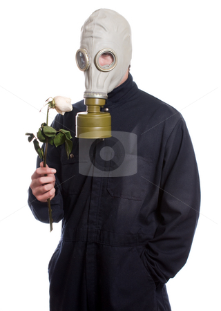 To use this stock image in your creative project, please select the size you need over to the right and click the "Add to Cart" button.
Your downloaded image will come with the Cutcaster watermark removed so don’t worry about the watermark you see on this page. Environmental Issues stock photo, A guy wearing a gas mask is holding a wilting rose, isolated against a white background by Richard Nelson