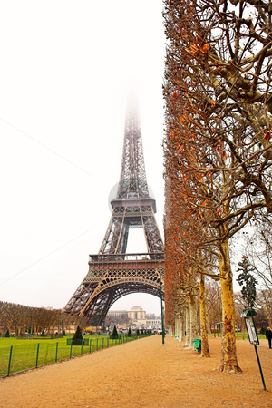 To use this stock image in your creative project, please select the size you need over to the right and click the "Add to Cart" button.
Your downloaded image will come with the Cutcaster watermark removed so don’t worry about the watermark you see on this page. Paris #24 stock photo, The Eiffel Tower in Paris, France. Copy space. by Sean Nel
