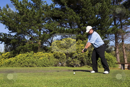 To use this stock image in your creative project, please select the size you need over to the right and click the "Add to Cart" button.
Your downloaded image will come with the Cutcaster watermark removed so don’t worry about the watermark you see on this page. Golf #34 stock photo, Man playing golf. by Sean Nel