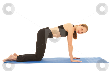 To use this stock image in your creative project, please select the size you need over to the right and click the "Add to Cart" button.
Your downloaded image will come with the Cutcaster watermark removed so don’t worry about the watermark you see on this page. Pilates exercise series stock photo, Fit young brunette pilates instructor showing different exercises on a white background a blue yoga mat. White background NOT ISOLATED by Sean Nel