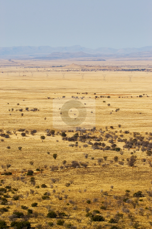 To use this stock image in your creative project, please select the size you need over to the right and click the "Add to Cart" button.
Your downloaded image will come with the Cutcaster watermark removed so don’t worry about the watermark you see on this page. Travel #4 stock photo, Landscape of a dry area in South Africa by Sean Nel