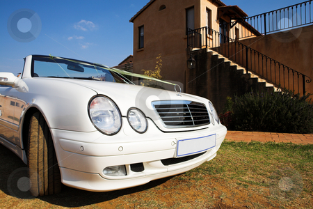 To use this stock image in your creative project, please select the size you need over to the right and click the "Add to Cart" button.
Your downloaded image will come with the Cutcaster watermark removed so don’t worry about the watermark you see on this page. Wedding Car stock photo, White convertible wedding car with ribbon by Sean Nel