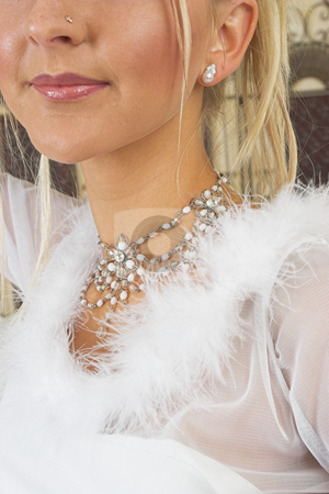 To use this stock image in your creative project, please select the size you need over to the right and click the "Add to Cart" button.
Your downloaded image will come with the Cutcaster watermark removed so don’t worry about the watermark you see on this page. Snow Queen #3 stock photo, Bride in white feathers by Sean Nel