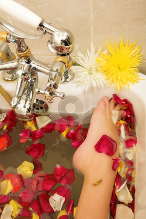 To use this stock image in your creative project, please select the size you need over to the right and click the "Add to Cart" button.
Your downloaded image will come with the Cutcaster watermark removed so don’t worry about the watermark you see on this page. Woman #143 stock photo, Foot of a woman in a bath. by Sean Nel